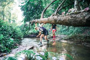 BIB: 
                            <button type="button" onclick="openModal(25436197)" class="btn btn-primary btn-sm float-right btn-popup" data-toggle="modal" data-target=".modal-high-quality">
                        <i class="fas fa-shopping-cart"></i> Add to Cart
                    </button>
                                            <button type="button" onclick="isThisMe(25436197, true)" class="btn btn-success btn-sm float-right btn-popup btn-isme hidden" data-toggle="tooltip" data-placement="bottom" title="นี่คือรูปของคุณใช่ไหม คลิกที่นี่เพื่อเอาเข้าอัลบั้ม">
                        <i class="fas fa-plus"></i> Add to album
                    </button>
                    <button type="button" onclick="isThisMe(25436197, false)" class="btn btn-warning btn-sm float-right btn-popup btn-isnotme hidden">
                        <i class="fas fa-ban"></i> Remove from album
                    </button>